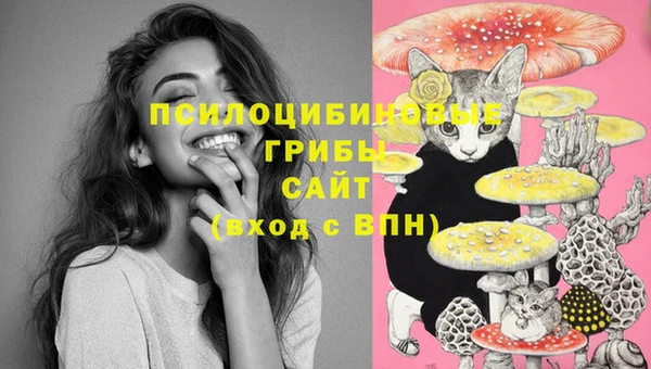 дурь Абинск