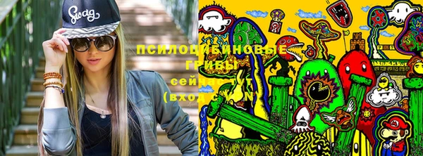 дурь Абинск