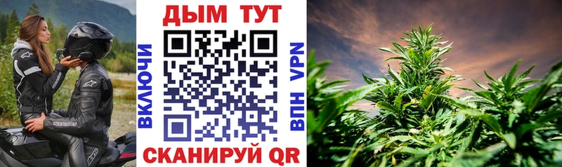 МЕГА   как найти   Зеленогорск  darknet клад  Марихуана семена 
